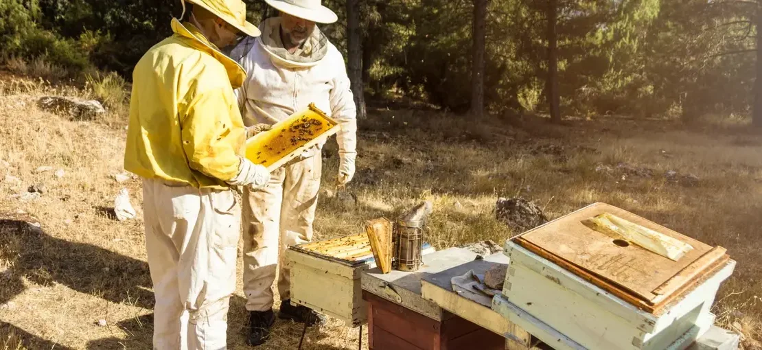 beekeepers Ozel