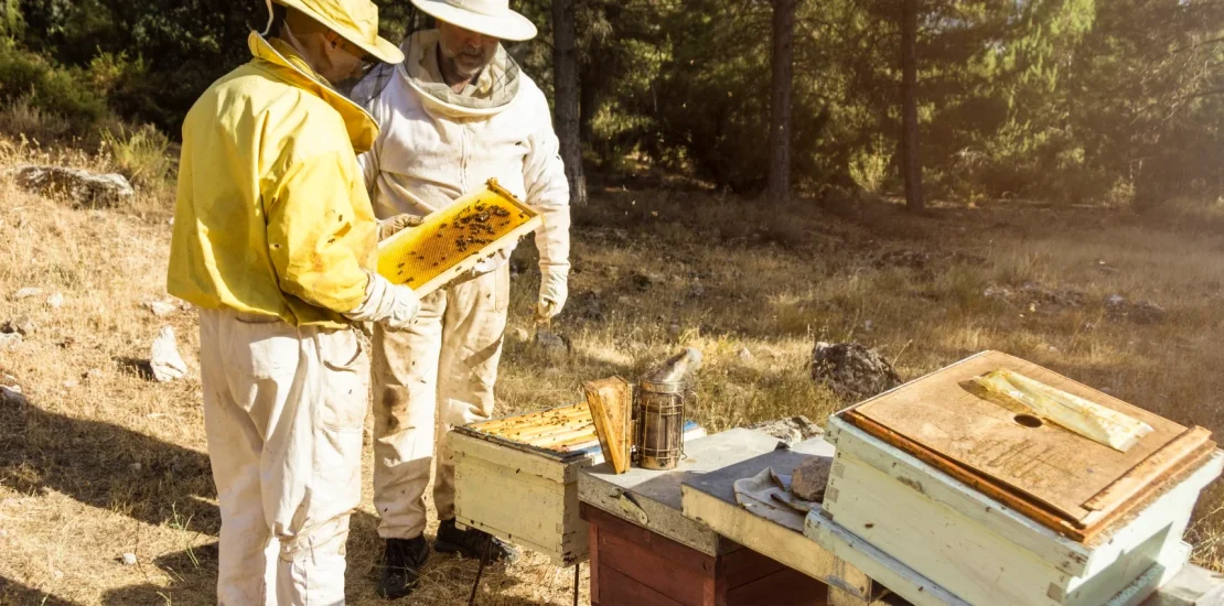beekeepers Ozel