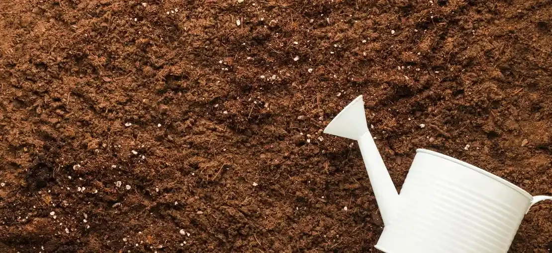 flat lay watering can copyspace Ozel