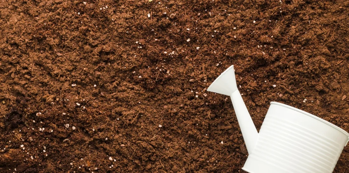 flat lay watering can copyspace Ozel