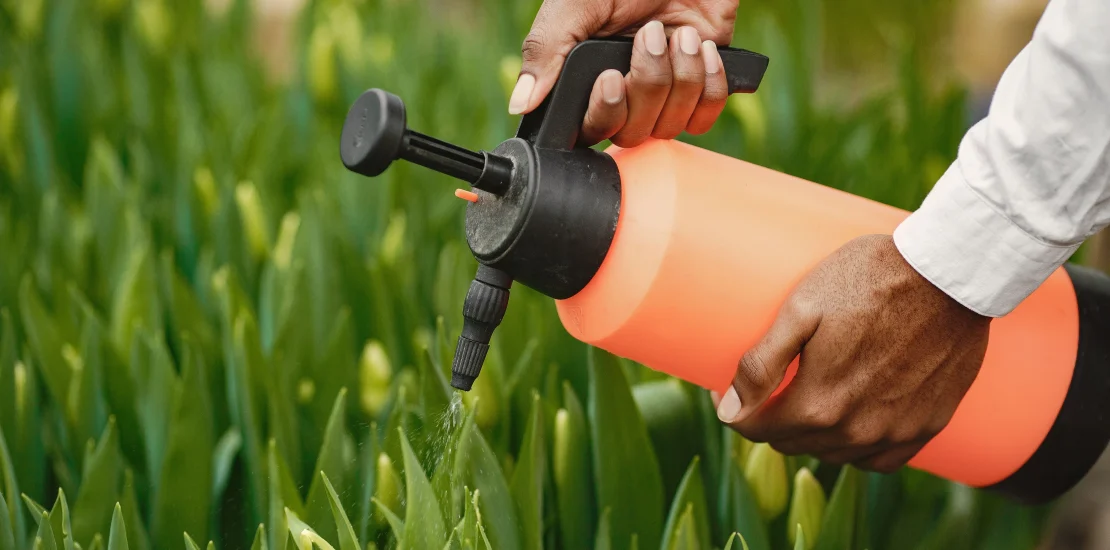 Gulleci Bulamaci Nedir scaled