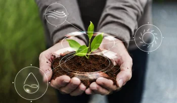 Rejeneratif Tarim Nedir