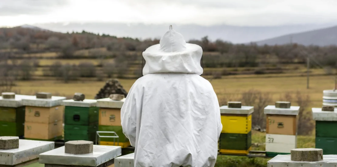 Varroa Nedir ve Mucadelesi Nasil Yapilmalidir scaled