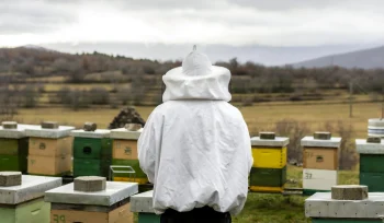 Varroa Nedir ve Mucadelesi Nasil Yapilmalidir scaled
