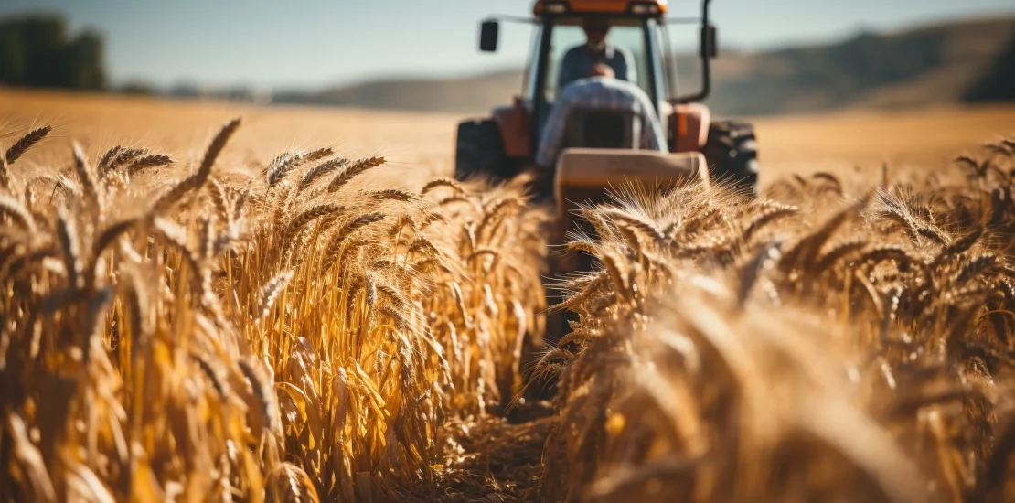 farm worker harvesting wheat golden sunset generated by artificial intelligence Buyuk