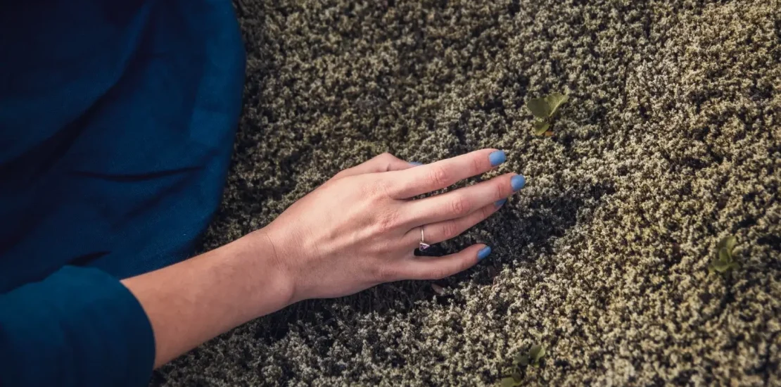 female hand touches moss nature exchanging emotion energy Buyuk 1 1