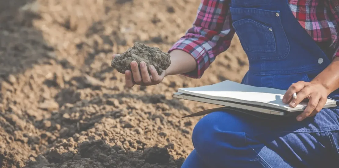 women farmers are researching soil Buyuk 1