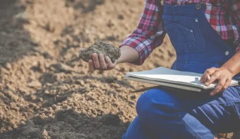 women farmers are researching soil Buyuk 1