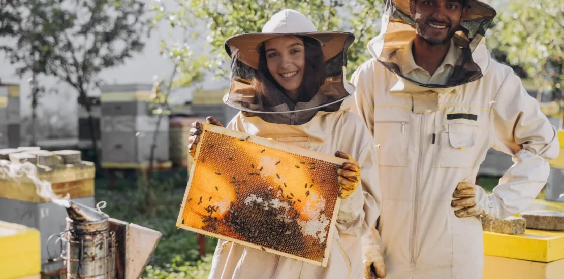 Arıcılık Destekleri Nelerdir