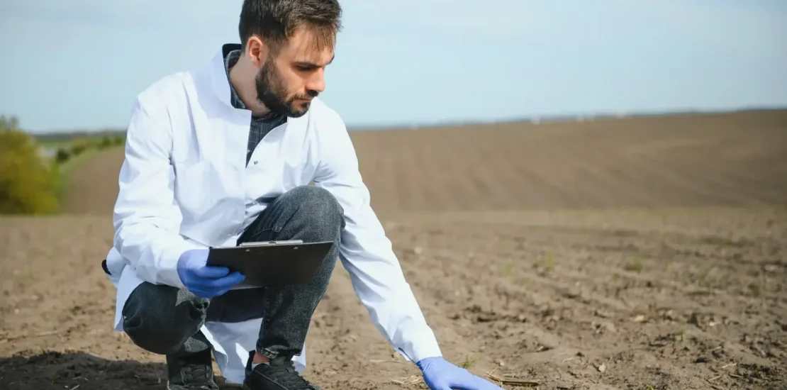 Toprak Asitlenmesi Nedir Nedenleri Nelerdir