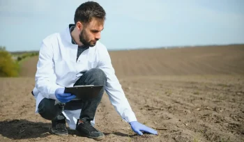 Toprak Asitlenmesi Nedir Nedenleri Nelerdir