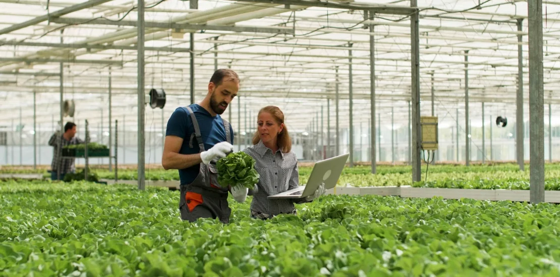 Hassas tarım nedir Hassas Tarım Uygulamaları
