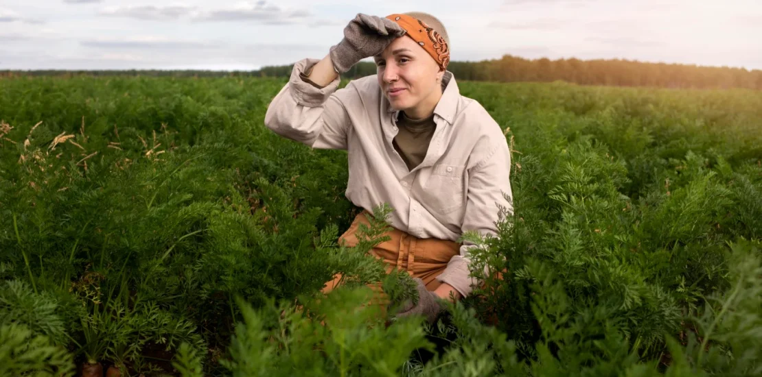 Yabancı Ot Nedir Yabancı Ot Mücadelesi Nasıl Yapılır