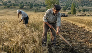 Geleneksel Tarım Nedir